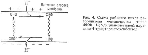 3505-4.jpg