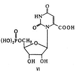 3519-2.jpg