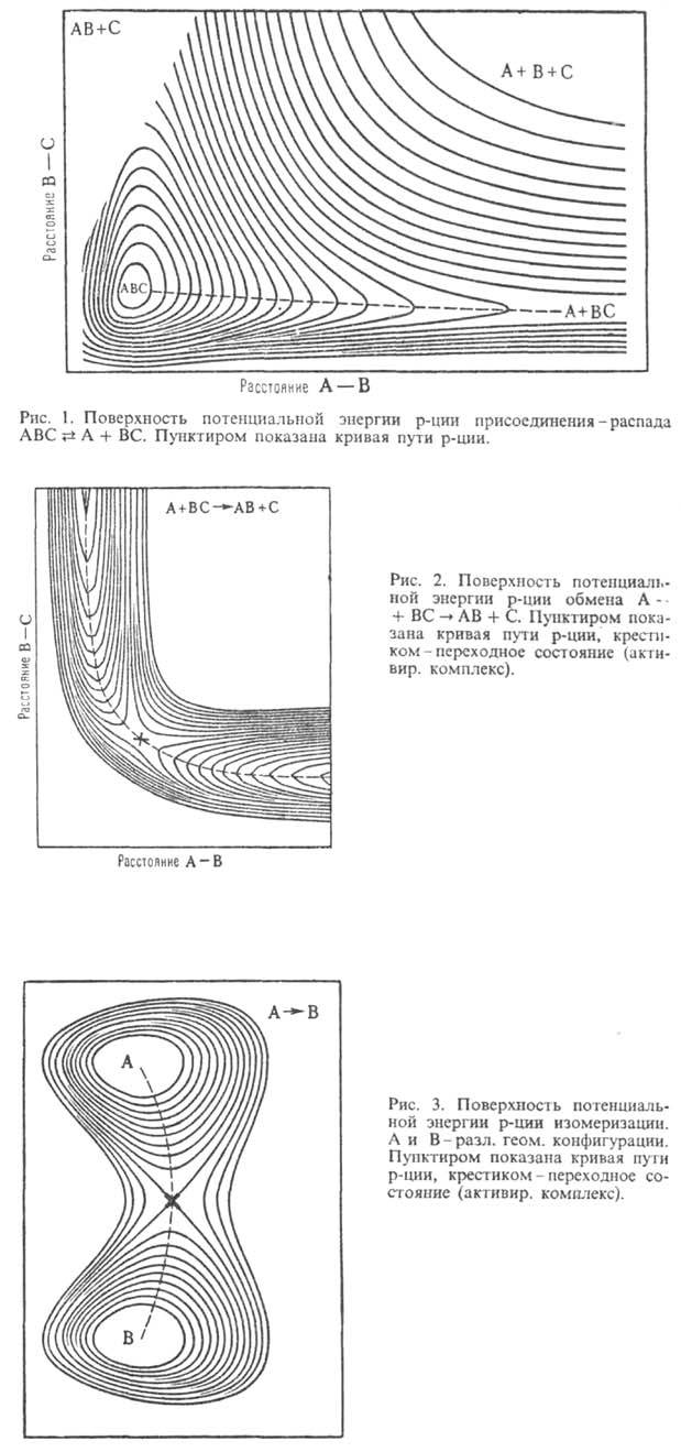 3556-19.jpg