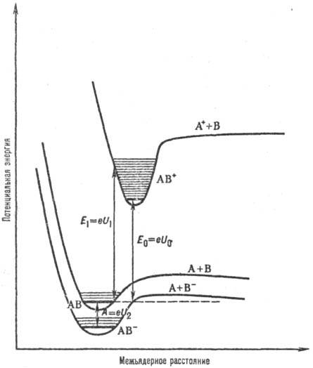 4016-1.jpg