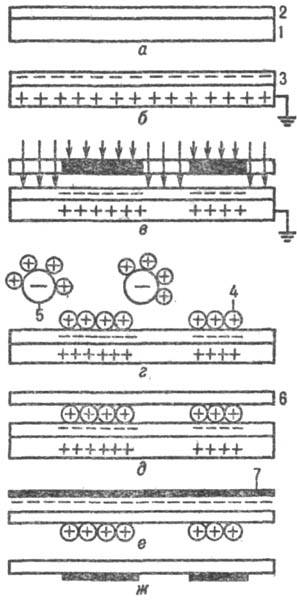 4052-3.jpg