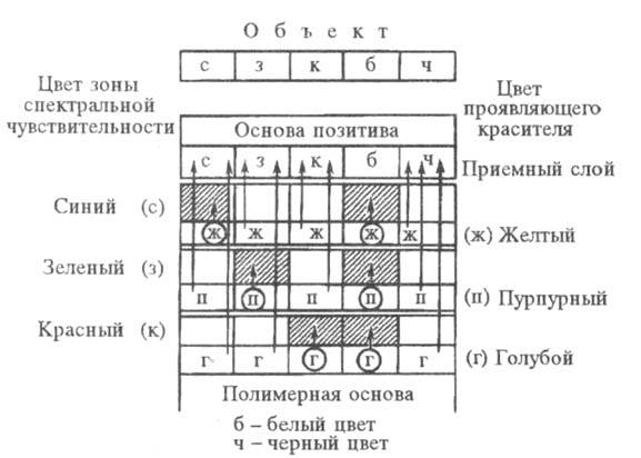 5033-3.jpg